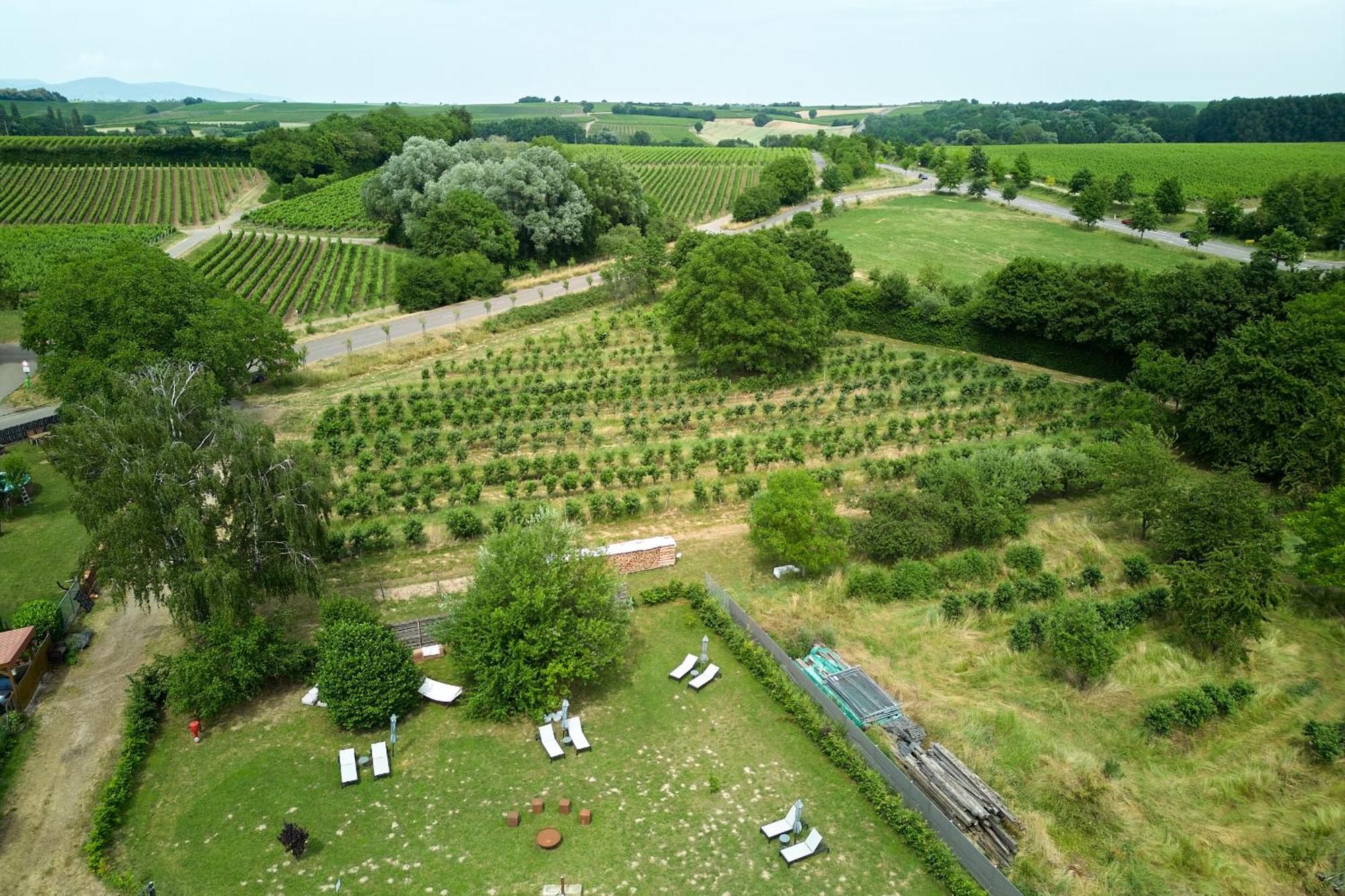 Weinhotel Fritz Walter Niederhorbach Bagian luar foto